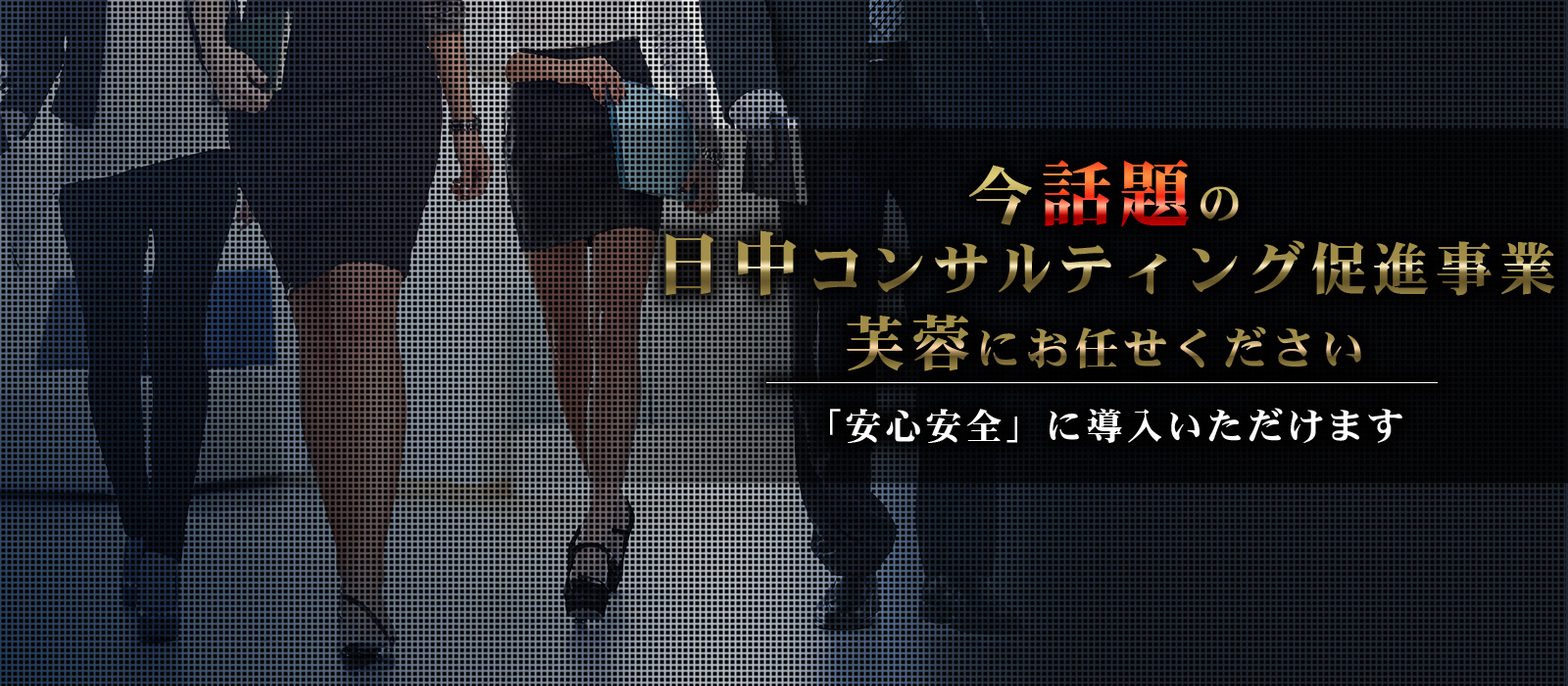 日中コンサルティング促進事業は芙蓉にお任せください